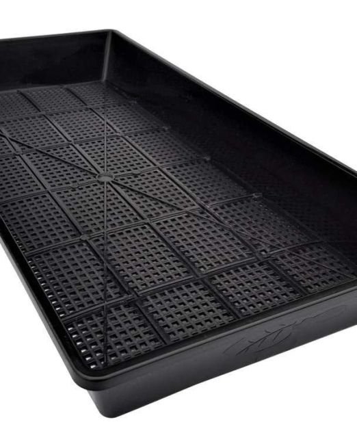 mesh tray