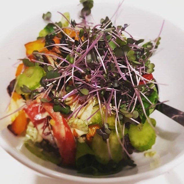 Radish Rambo - Pure Microgreens | New Zealand