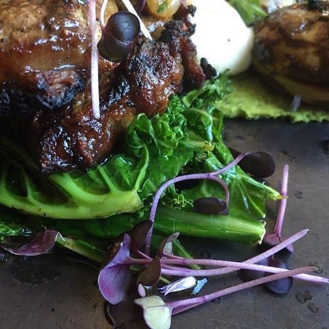 Radish Rambo - Pure Microgreens | New Zealand