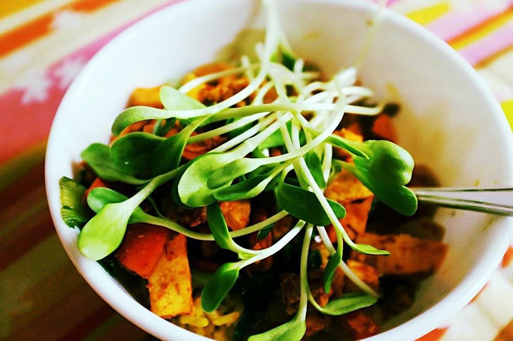 Sunflower Microgreens Recipes Bryont Blog